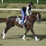 Why Secret Oath Can Be A Surprise Contender For The Preakness Stakes